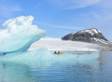 Stygge: Glacier Half Day Tour