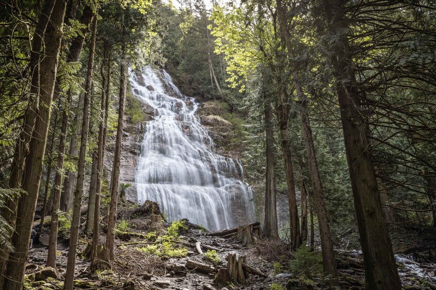 Picture 4 for Activity Banff: Journey to the Heart of the Canadian Rockies (2 Days)