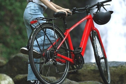 E-Bike Journey Across Mt. Aso from Kumamoto Airport