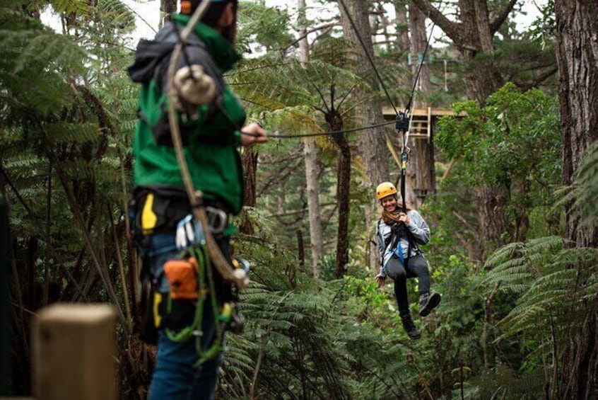 Zipline Coromandel