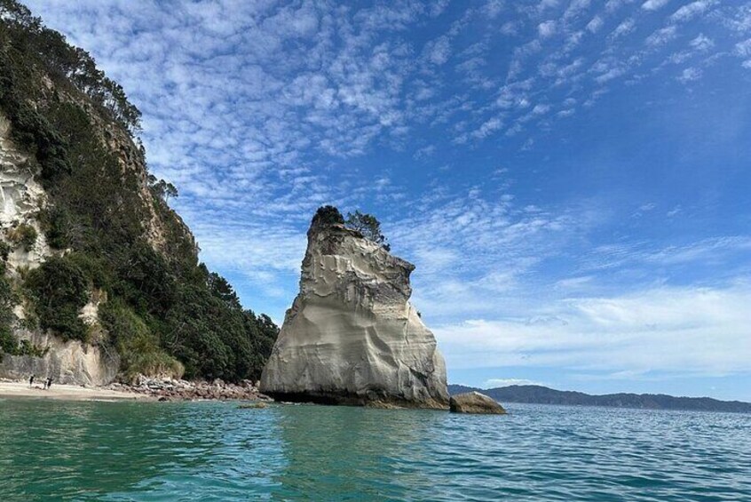 Private Day Tour of Hot Water Beach, Cathedral Cove & Zipline