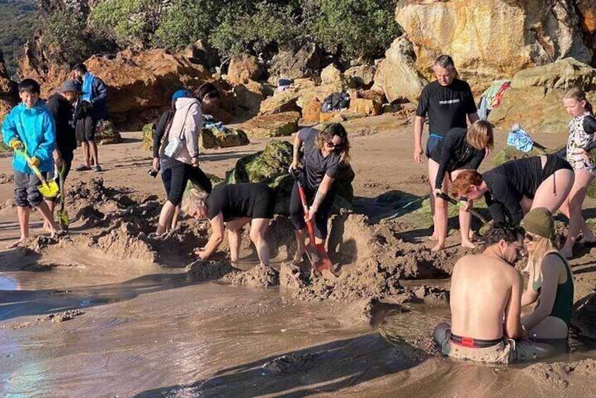 Private Day Tour of Hot Water Beach, Cathedral Cove & Zipline