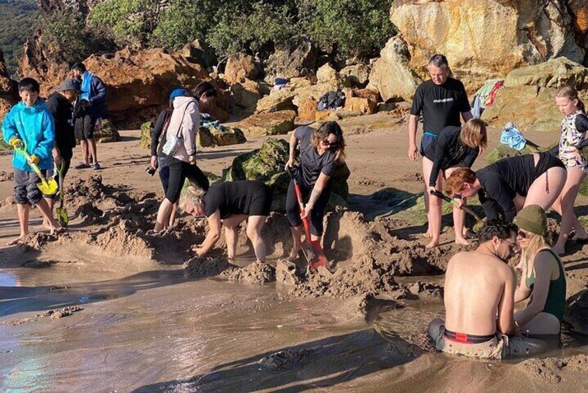 Private Day Tour of Hot Water Beach, Cathedral Cove & Zipline