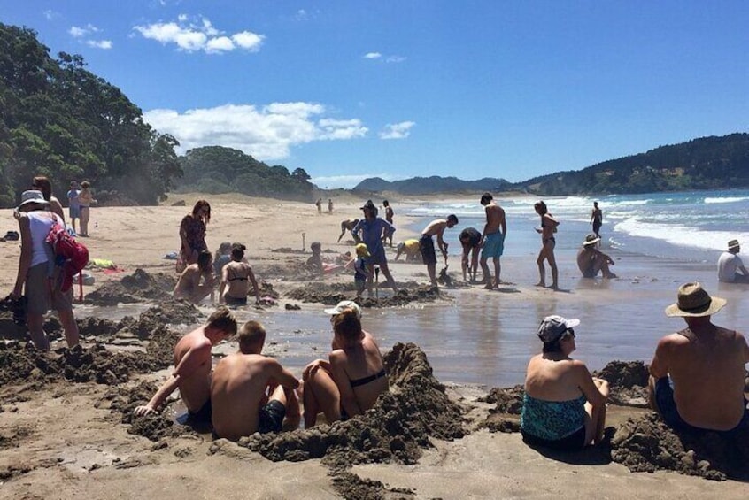 Private Day Tour of Hot Water Beach, Cathedral Cove & Zipline