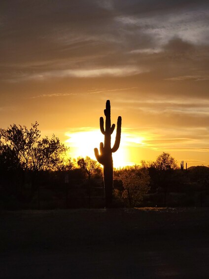 Picture 5 for Activity Phoenix: ATV Tour with Panoramic Views