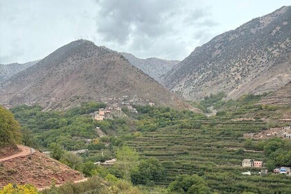 Visit remote Berber village and mountain cooking class