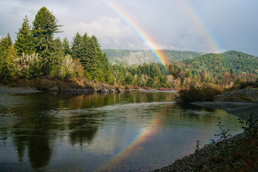 Redwoods National and State Park: Self Guided Driving Audio Tour