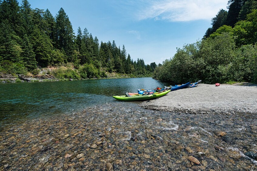 Redwoods National and State Park: Self Guided Driving Audio Tour