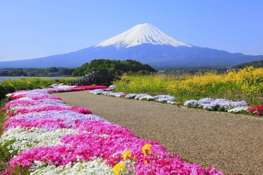 Mount Fuji Full Day Sightseeing Tour from Tokyo