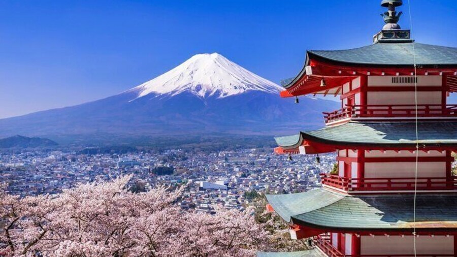 Mount Fuji Full Day Sightseeing Tour from Tokyo