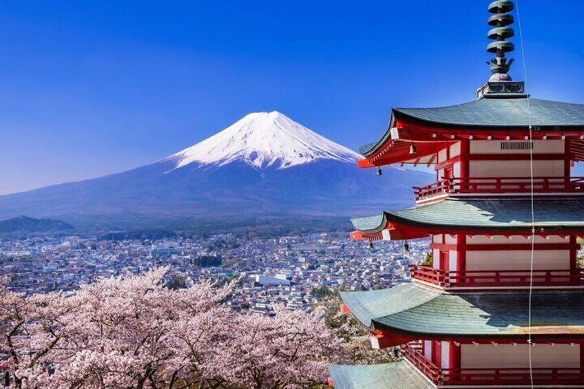 Mount Fuji Full Day Sightseeing Tour from Tokyo