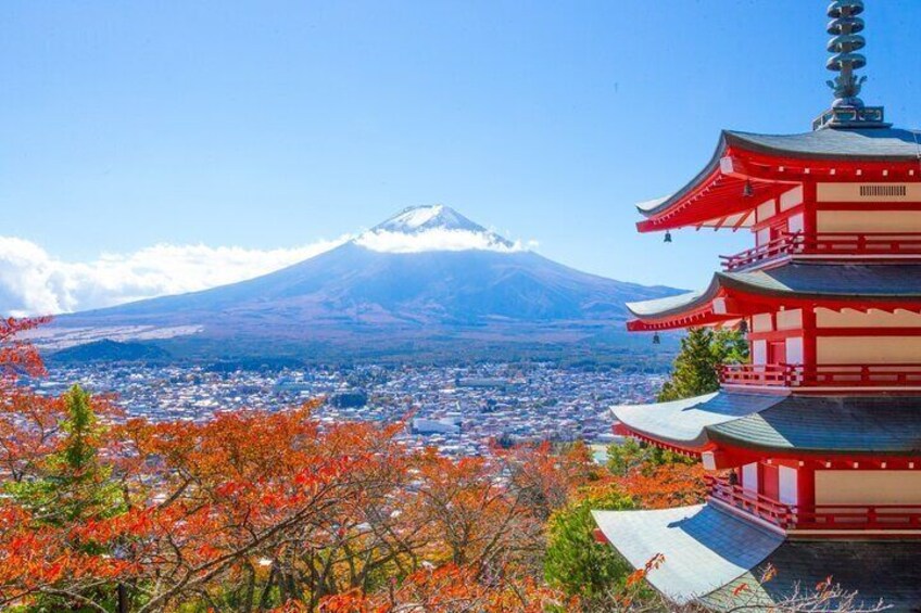 Mount Fuji Four Famous Scenic Spots Full Day Tour from Tokyo