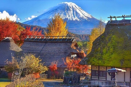 Scenic Spots of Mount Fuji Full Day Bus Tour from Tokyo