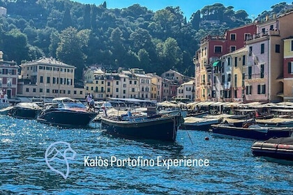 Portofino Boat Tour from Portofino, Rapallo and Monterosso