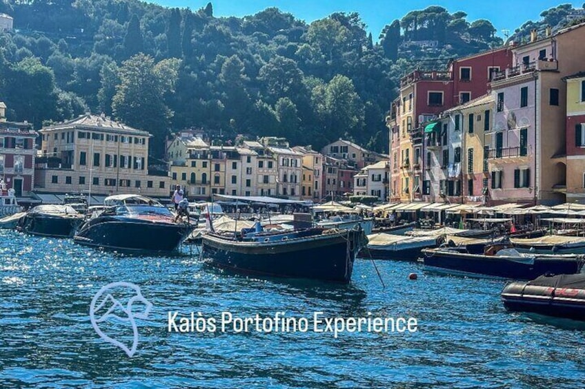 Portofino Boat Tour from Portofino, Rapallo and Monterosso