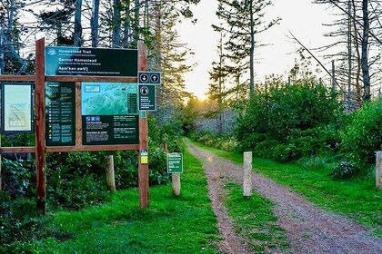 E-Bike Day Tour From Cavendish to Rustico