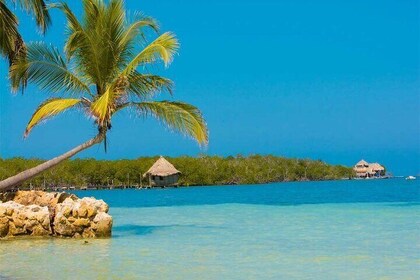 穆庫拉 (Múcura) 和�廷蒂潘 (Tintipán) 之旅，含早餐、午餐和接送服務