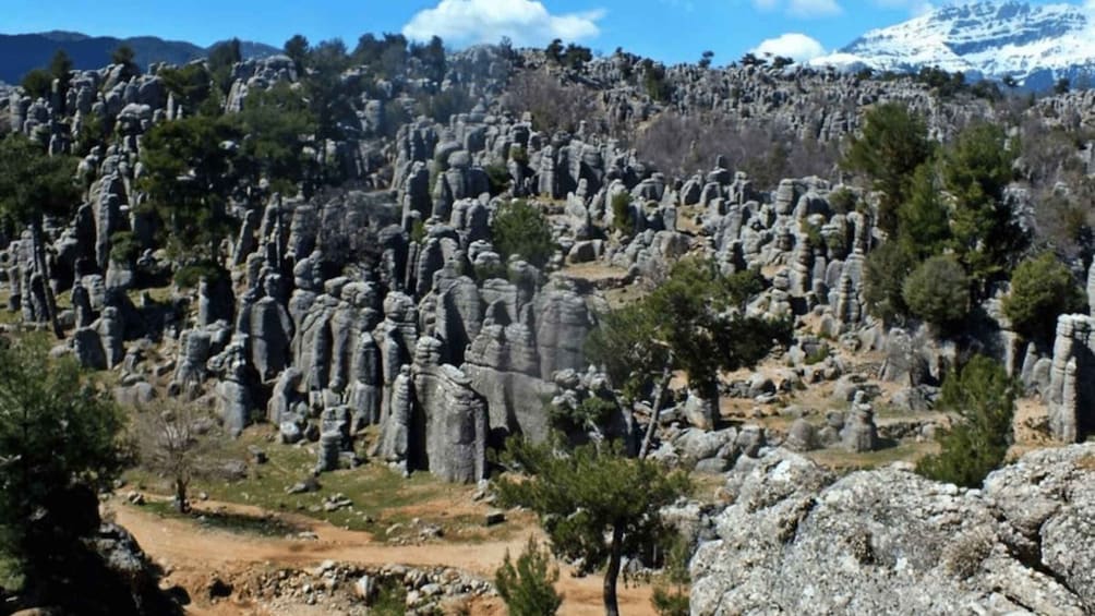 Picture 3 for Activity From Side Eagle Canyon and Selge Ancient City Tour