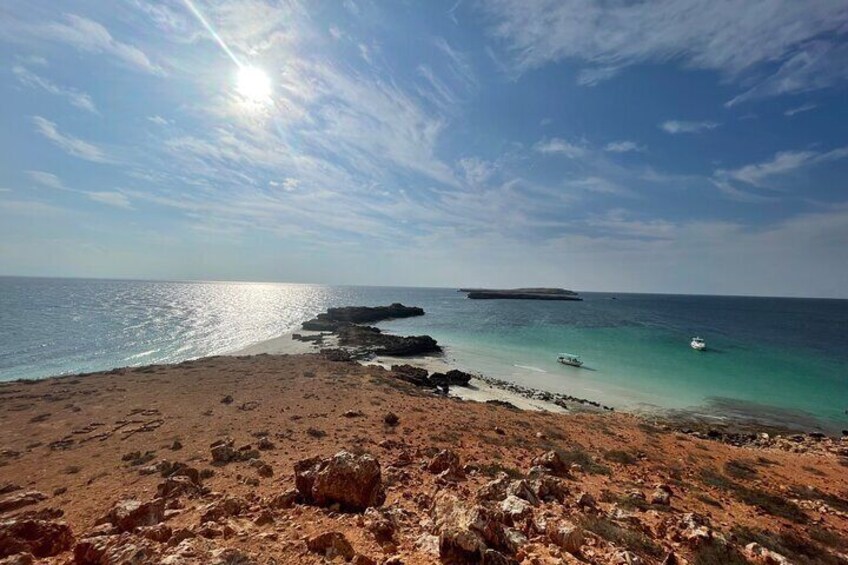 Snorkeling at Dimaniyat Islands and Dolphin Watching