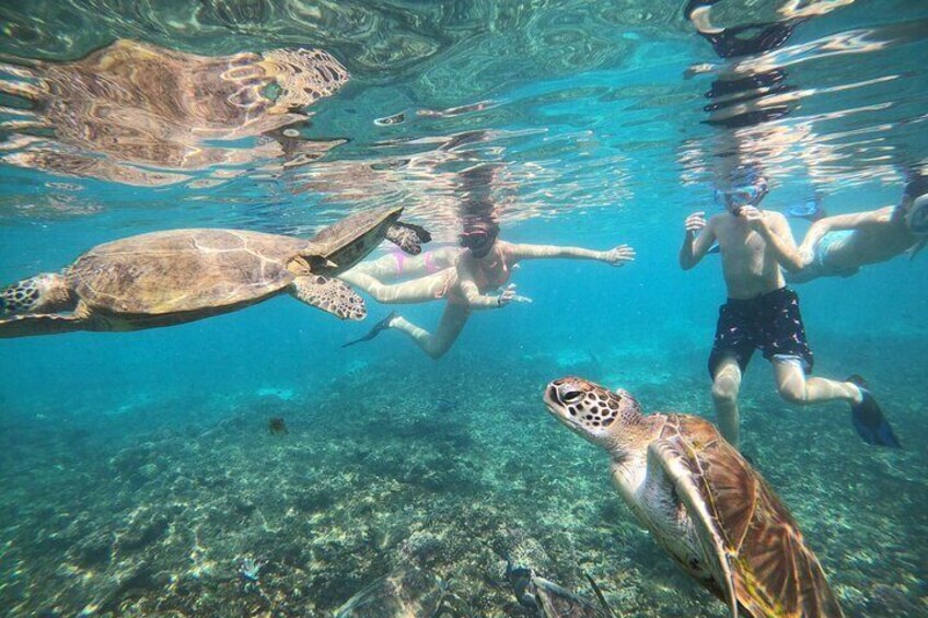 Snorkeling at Dimaniyat Islands and Dolphin Watching