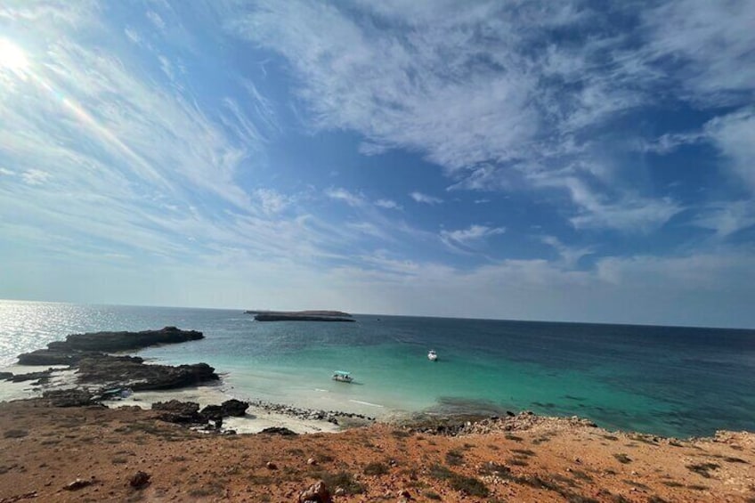 Snorkeling at Dimaniyat Islands and Dolphin Watching