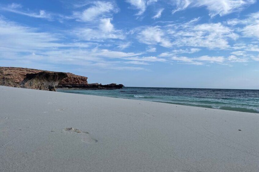 Snorkeling at Dimaniyat Islands and Dolphin Watching