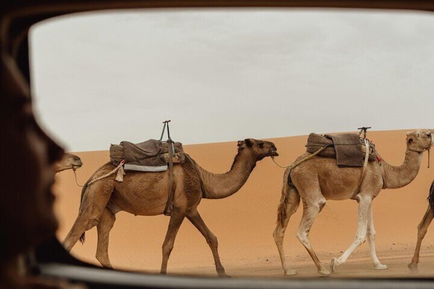 Ouarzazate to Marrakech 2 Days Journey by the Zagora Desert