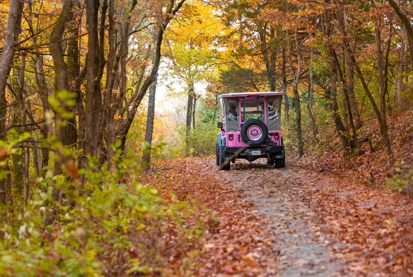 Guided Tour of the Historic Ozarks