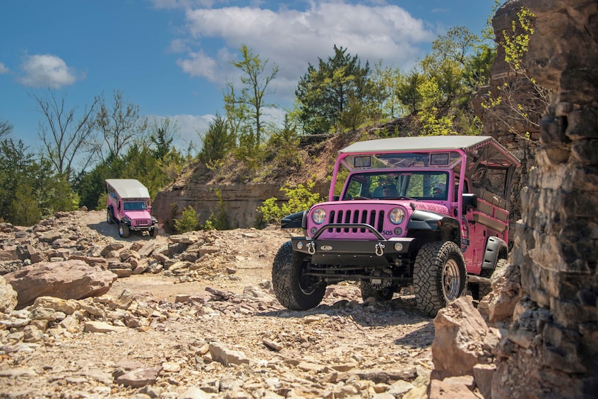 Guided Tour of the Historic Ozarks