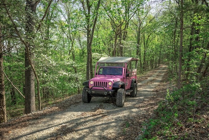 Rondleiding door de historische Ozarks