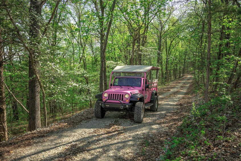 Guided Tour of the Historic Ozarks