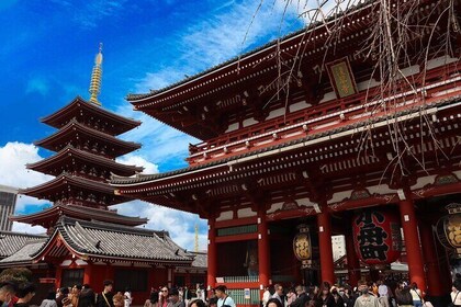 Tokyo Early Bird Tour : Shibuya, Asakusa, Meiji Shrine & meer!