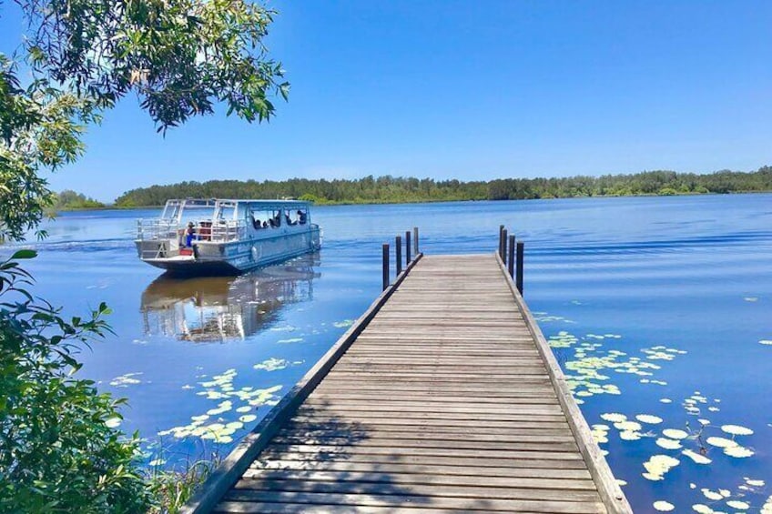 Joel's Journeys - Noosa Everglades and Hinterland Tour