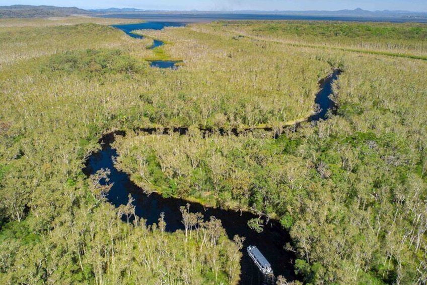 Joel's Journeys - Noosa Everglades and Hinterland Tour