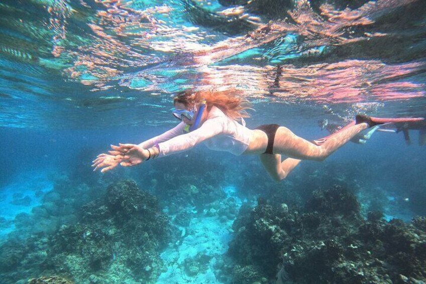Roatan Reef Snorkel Adventure