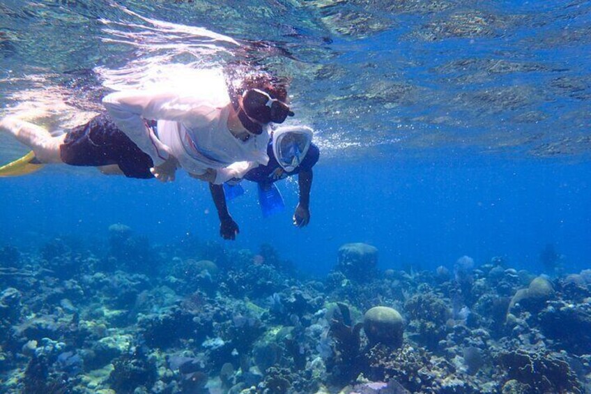 Roatan Reef Snorkel Adventure 