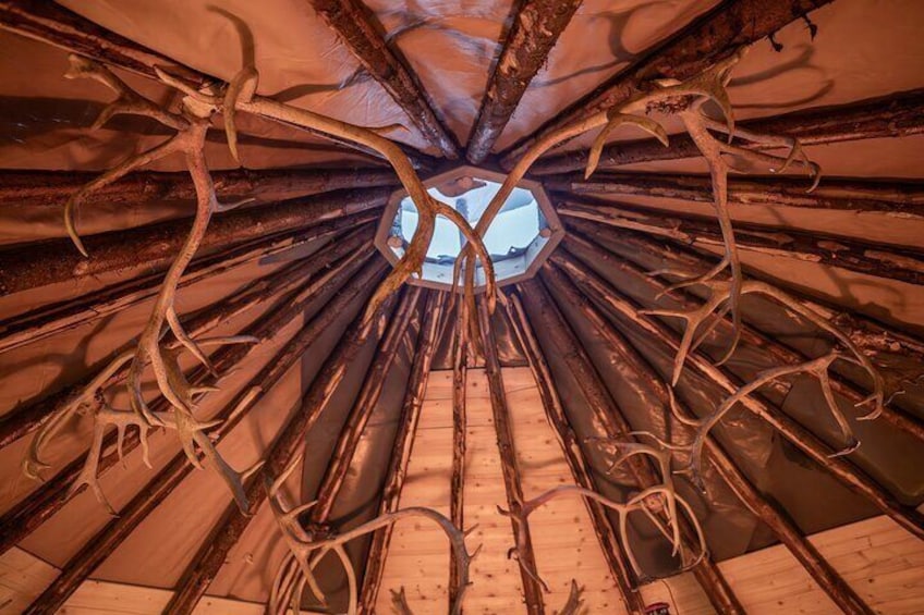 Reindeer antler decorations inside the lavvu