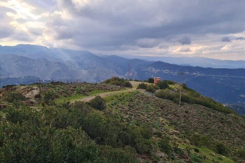 Private Scenic Tour Agia Lake, Meskla, Zourna and Theriso