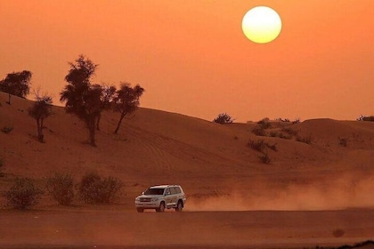Mattina Desert Safari auto privata: Eureka Desert Moments
