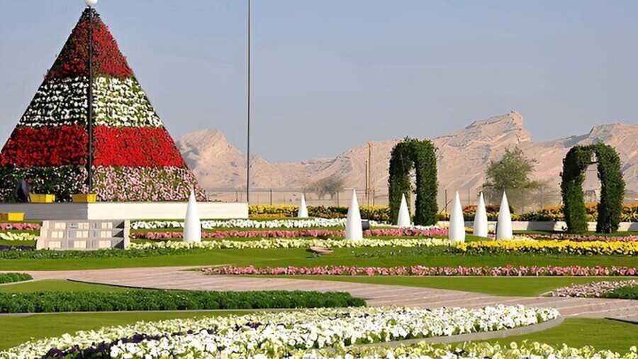 Al Ain Historical Tour from Dubai Eureka Past Moments