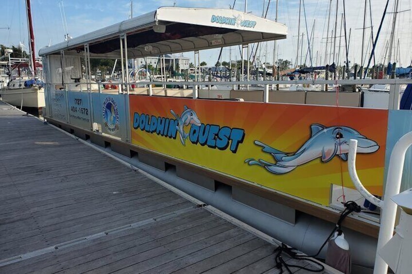 Dolphin Quest-Book now!