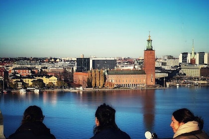 3-Hour Stockholm City Tour:History, Metro Art & Public Ferry Ride