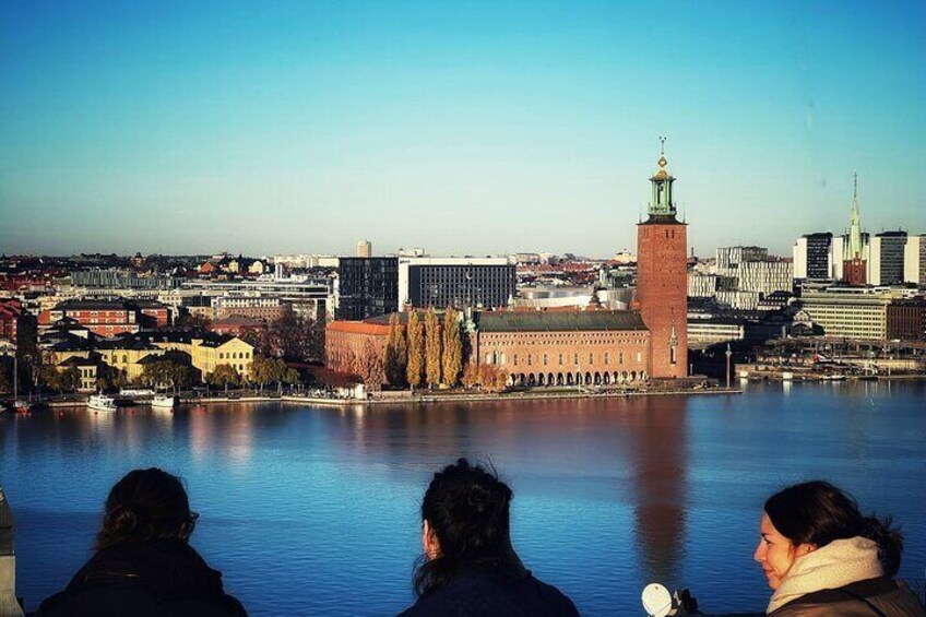 3-Hour Stockholm City Tour:History, Metro Art & Scenic Ferry Ride