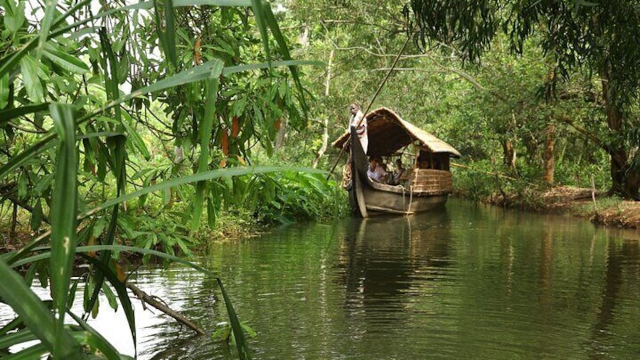 Backwater Tour from Cochin