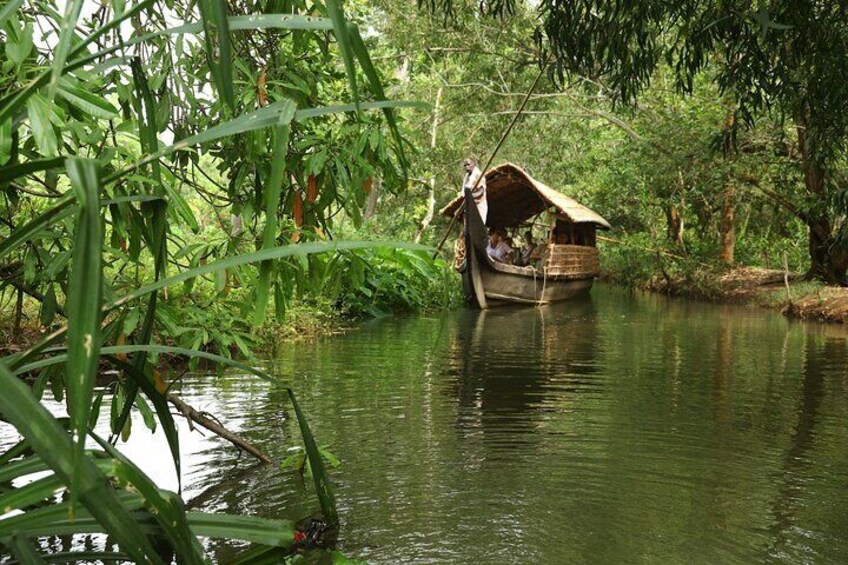 Backwater Tour from Cochin 