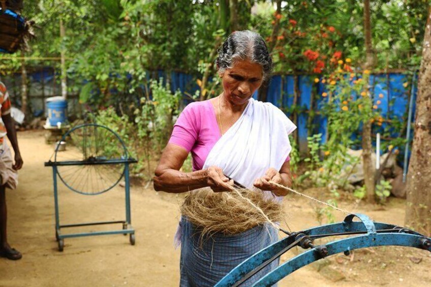 Backwater Tour from Cochin 