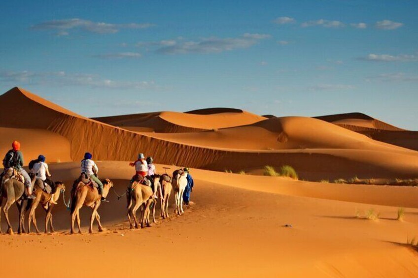 6 Day Nomad Wild Camping Tour from Sahara Desert
