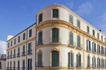 Malaga: Billet til Picassos fødselsstedsmuseum med digital lydguide