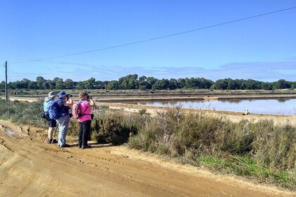 Birding Under Blue Skyes: The Great Bustard Adventure-Self-Guided Birding w...