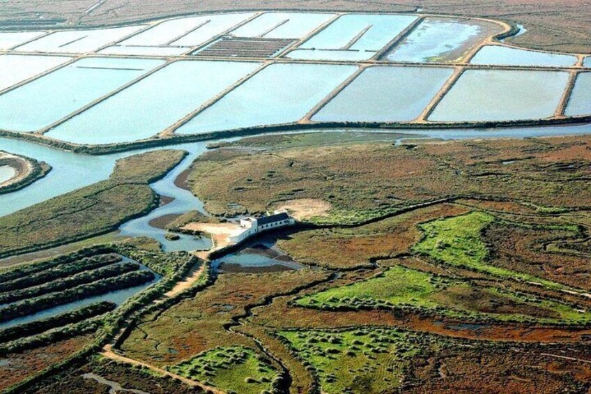 birding_marismas_ayamonte